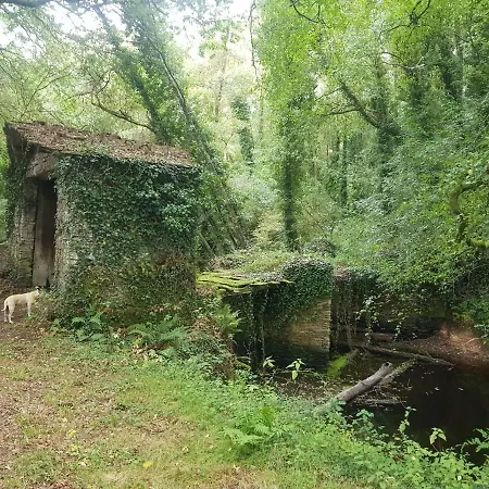 Hébergement de vacances La Casa Del Tio Antonio