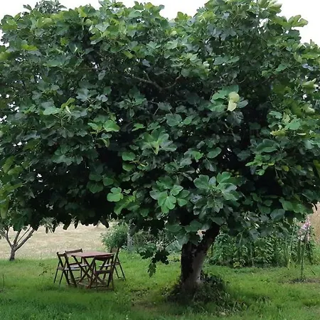 Hébergement de vacances La Casa Del Tio Antonio *