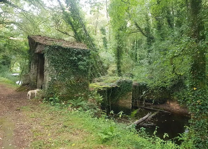 Hébergement de vacances La Casa Del Tio Antonio